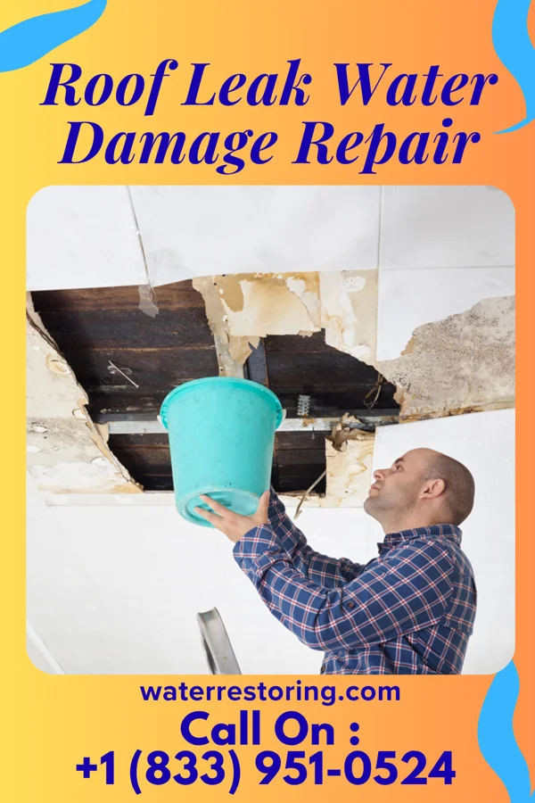 Roof Leak Water Damage Repair in Hatton, ND